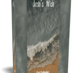 Josh's Wish. A short horror story.